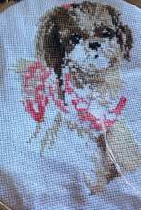 Shih-tzu