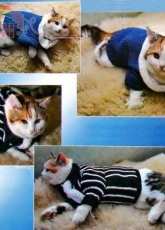 Unknown Designer - Sweater for a cat (2 pieces) - Russian - Free