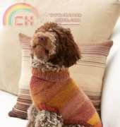 Lion Brand L32076 Proud Puppy Dog Sweater