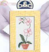 DMC T883K White Orchid