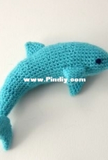 Vliegende Hollander - Joyce Overheul - Dolphin