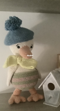 A Duck