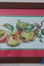 Apples from the ALICA