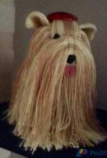 KÖPEĞİM