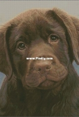 Art-goblen - Dog by S. Nedelcheva (С.Неделчева)