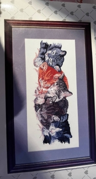 [In progress] Cats caught napping