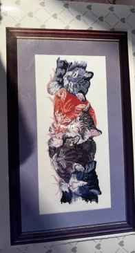 [In progress] Cats caught napping