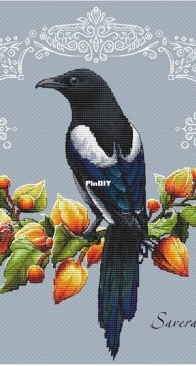Magpie by Saverka - Savera / Victoria Kuznetsova XSD