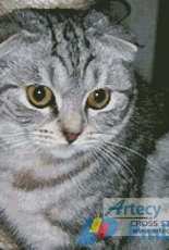Artecy Cross Stitch - Cat 2