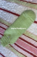 thermometer Case