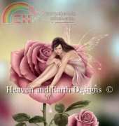 HAERA 25001 Rose by Rachel Anderson