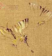 MTSA Papillons