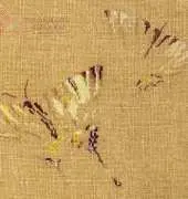 MTSA Papillons