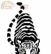 tiger