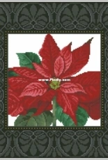 Ellen Maurer-Stroh EMS 150 Poinsettia Cushion XSD + PCS