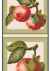 Zolotoe Runo FS-003 Apples pcs