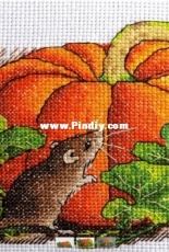 Pumpkin Mouse - Serafima Abramova