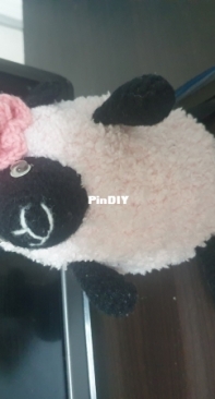 Sheep