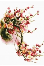 Bozenka 1001 - Sakura