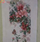 clematis and butterfly