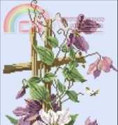 RTO R189 Clematis