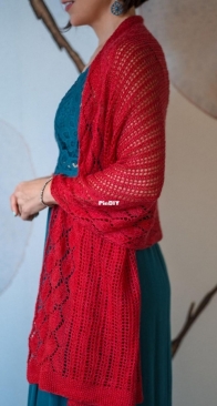 Sainte Terrer Wrap by Amy Mercier - Expression Fiber Arts