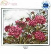 RTO M272 Peonies