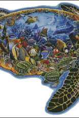 HAED HAELTJ 101 World Of The Sea Turtles by Lewis T. Johnson XSD