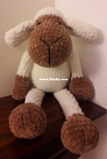 Daisy the sheep