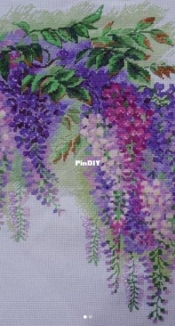 Riolis Wisteria