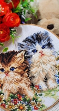 Two kittens