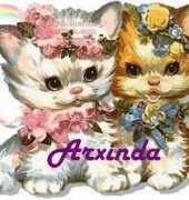 Arxinda - Lindos Gatitos