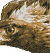 Zolotoe Runo Z-009 - Look of Eagle