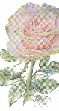 Rose Charm by Ekaterina Volkova