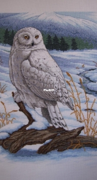 Dimensions 3861 - The Stately Snowy Owl - XSD