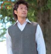 25-26-24 Pure Cashmere 100 Vest by Pierrot Yarns-Free