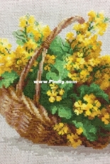 Riolis 1502 Yellow Rapeseed