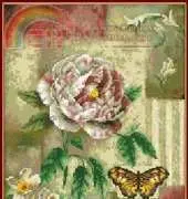 DOME 100112 Peppermint Twist Rose