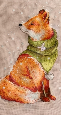 Fox by Svetlana Sichkar