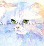 HAED HAEJOL110 Toulouse by Jo Lynch