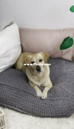 Lincraft - P057 Lined Floor Cushion - Free