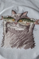Cat Catch