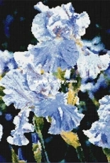 Kustom Krafts #99107 - Iris