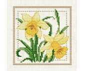 Ellen Maurer Stroh EMS - Flower of the Month - March - Jonquil PCS