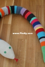 Colourfull snake