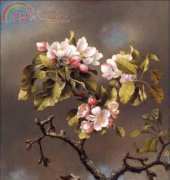 Golden Kite GK 1719 - Branch of Apple Blossoms