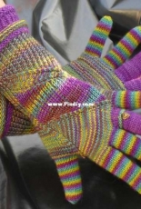 Crazy Parrot Mitts - Regina Satta