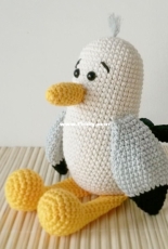Seagull