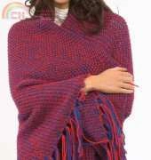 Plymouth Yarn-F219-Encore Worsted Team Afghan by JoAnne Turcotte-Free