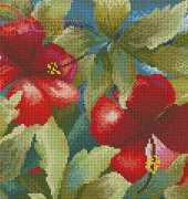 DMC APD BK209 hibiscus